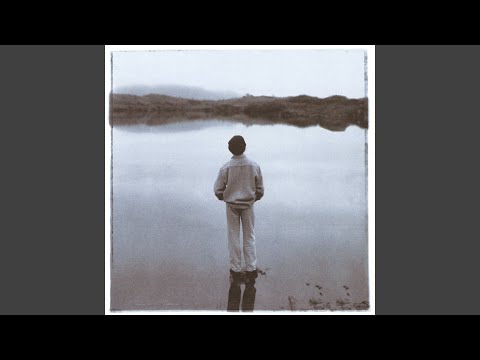 Diamond Mountain - Luka Bloom