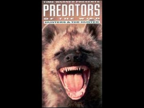 Predators Of The WIld: Hunters and the Hunted (1993)