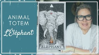 Animal TOTEM - L'Éléphant - CHAMANE URBAINE