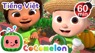 Download lagu Bài Hát Làm Vườn | Bài hát dành cho trẻ em | CoComelon Lồng tiếng việt - Karaoke dành cho trẻ em mp3 Download lagu Bài Hát Làm Vườn | Bài hát dành cho trẻ em | CoComelon Lồng tiếng việt - Karaoke dành cho trẻ em mp3