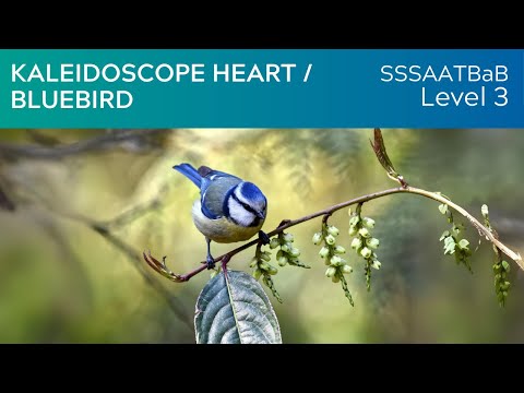 Kaleidoscope Heart - Bluebird (SSSAATBaB Lv3) KerryMarsh.com Score Preview