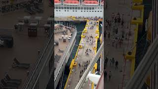 This CRUISESHIP’S have thousands of tiny rooms! #cruiseship #cruise #travel #yt #ytshorts #vacation