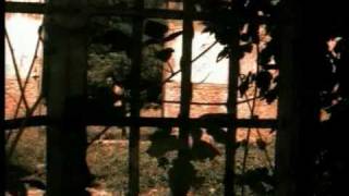 Alerta Kamarada - Legal