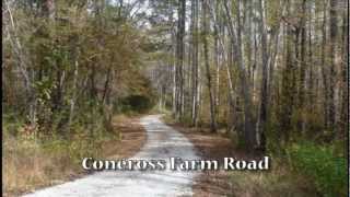 preview picture of video '519 Acres Subdivided Into 5 Tracts, Oconee County, S.C.'