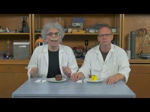 Világos Professzor - Fizika: Newton 3. törvénye