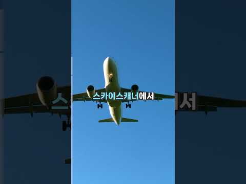 최고의 여행 팁을 알려드립니다!