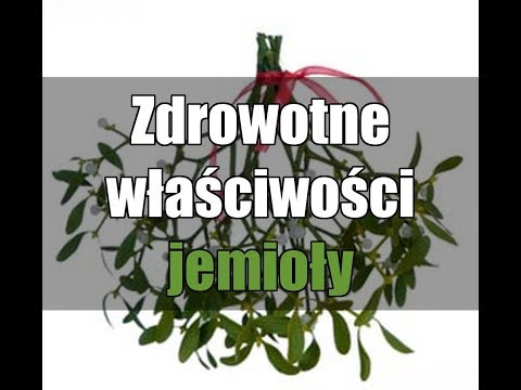 Nakrętka miodu dawka dla potencji Co jeść, aby zwiększyć siłę