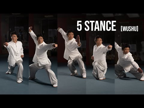 5 Stance on the Spot | Wu Bu Quan『五步拳』 with Master Tang