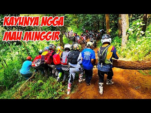 Full Jalur Pinus ROJALI 3 Magelang