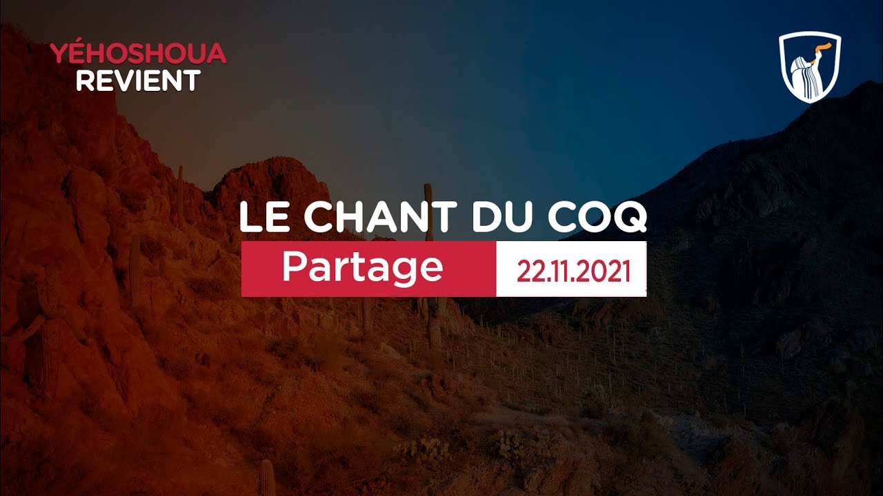 Thumbnail of video: Partage