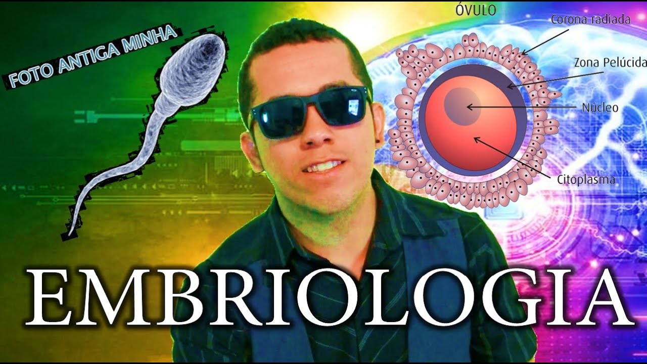 Aula 15: Embriologia ( Da Fecundação a  Organogênese) - Aula de Biologia, ENEM e Vestibular