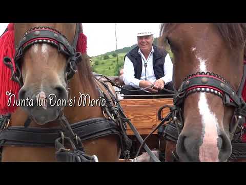 Nunta lui Dan si Maria - Dorin de la Cluj si Nea' Costel vizitii - 10 Iulie 2022 Nou!!!