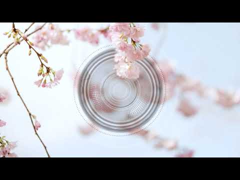 Timo Chinala  - Distant Call [Nie Wieder Schlafen]