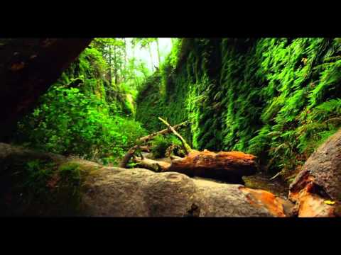 Groove Cocktail - Morning Sun (Unofficial Music Video)