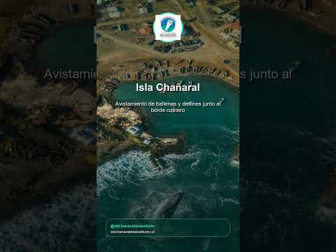 Bienvenida al STI Chañaral de Aceituno