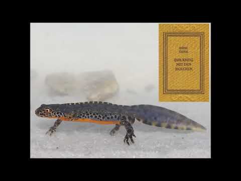 Karel Čapek - Der Krieg mit den Molchen - 11 (Über Menschenechsen)