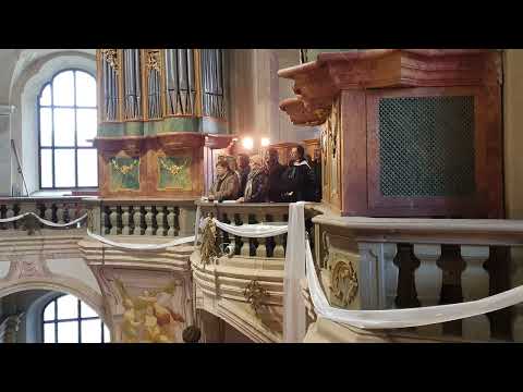 JK201 Narodil se Kristus Pán + dohra, 25. 12. 2024