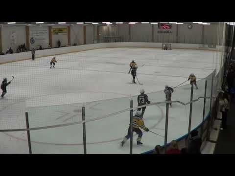 U12 Kiekkohait AA vs. RNK Kings 3/3
