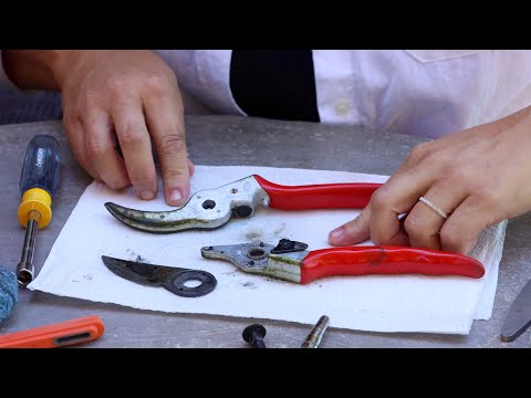 How to Clean & Sharpen Your Pruners! ✂️🧼🌿// Garden Answer
