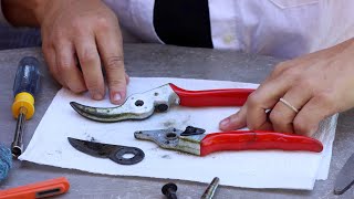 How to Clean & Sharpen Your Pruners! ✂️🧼🌿// Garden Answer