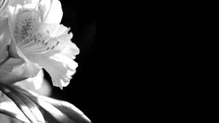 Maria Mena - My heart still beats en español