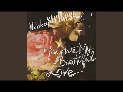 You Hate My Beautiful Love