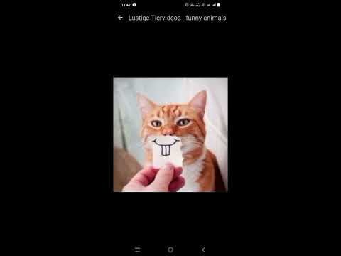 Funniest Cat Moments Ever! 😂 1Million times laughing