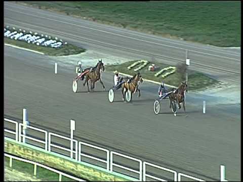 Trotto 19/02/2016 - prova di qualifica