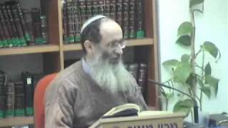 15208-3 פרים הנשרפים ושעירים הנשרפים