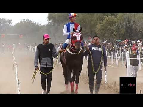 Hip El Quebrachal (Genarito , Estrellita , Francisquito , Gaucho ) 10/07/2022