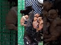 Puppies Puppylove