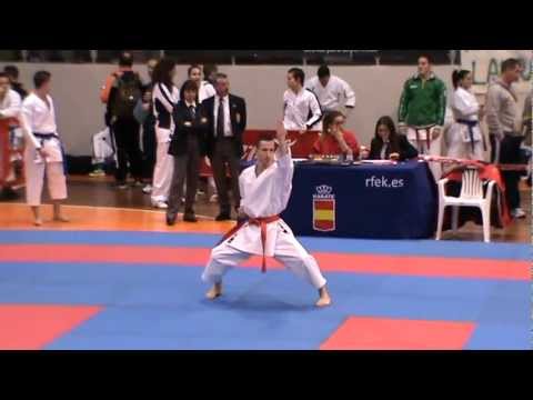 Campeonato de España Senior 2.013 - Cuartos de final Kata Masculino - Valentín Vs S.Galán