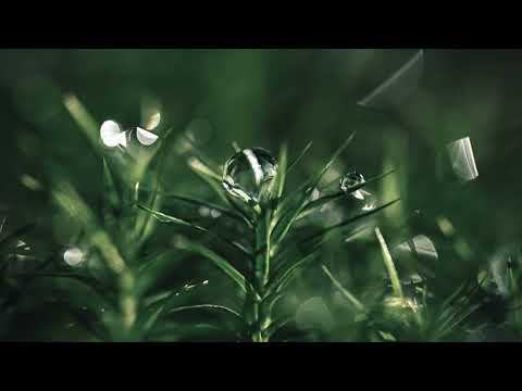 Moondust - James Malikey (Soft Version) Sleep, Study, Relax - 1 Hour