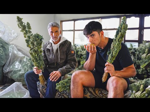 Assim é a VIDA SOMBRIA de um PRODUTOR de MAC0NH4