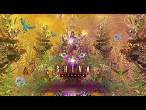 Digital Murders - Función De Probabilidad