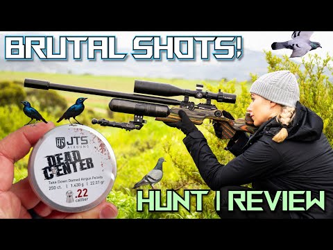 Dead Center! with JTS Pellets (NEW!) | Pellet Review & Hunt | FX Crown MKII #viral