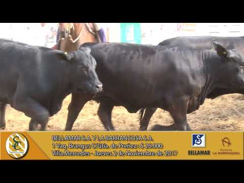 02-11-17 Venta de Vaq. Brangus y Braford - Bellamar S.A. y La Barrancosa S.A. - Villa Mercedes