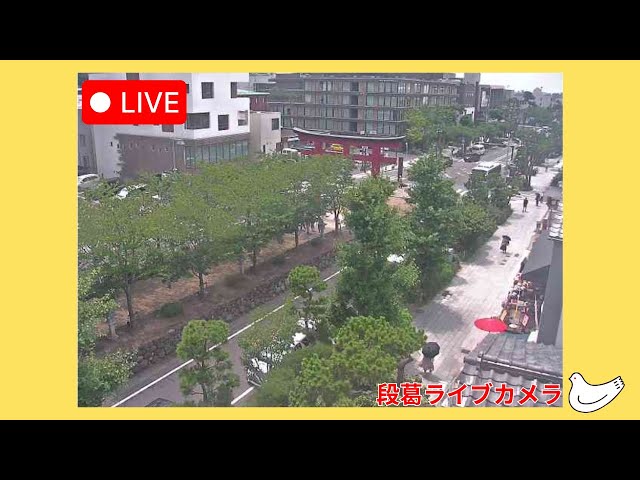 鎌倉 若宮大路 段葛（鶴岡八幡宮 二ノ鳥居）