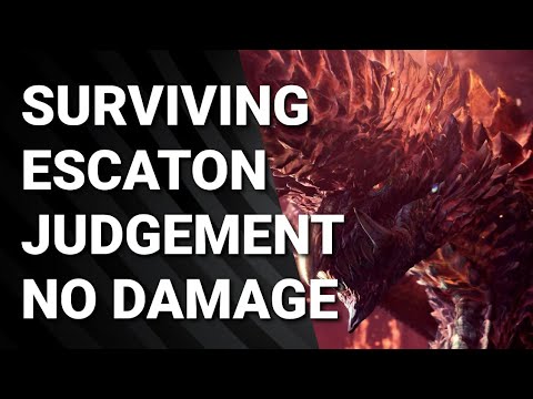 Alatreon, I Survived Escaton Judgement No Damage NO Health Monster Hunter World Iceborne.