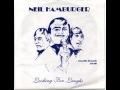 Neil Hamburger - Anthony Kiedis