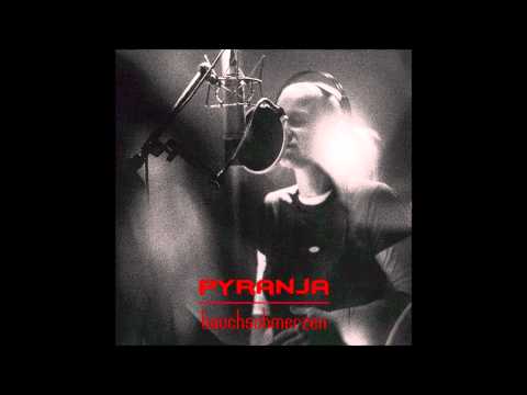 Pyranja - Nachtflug (original)