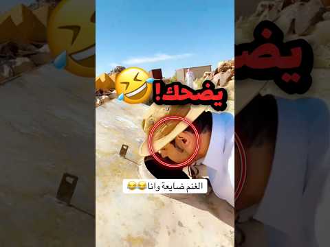 ابوة مضيع الغنم حقة وهو قاعد يغني!! 😂😂 #youtubeshorts
