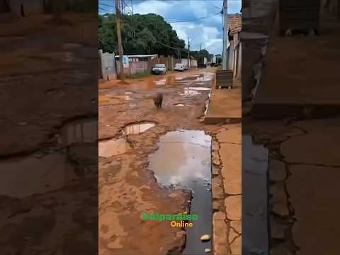 Enquanto isso em Valparaíso de Goiás #valparaisodegoias #brasilia #df #bsb