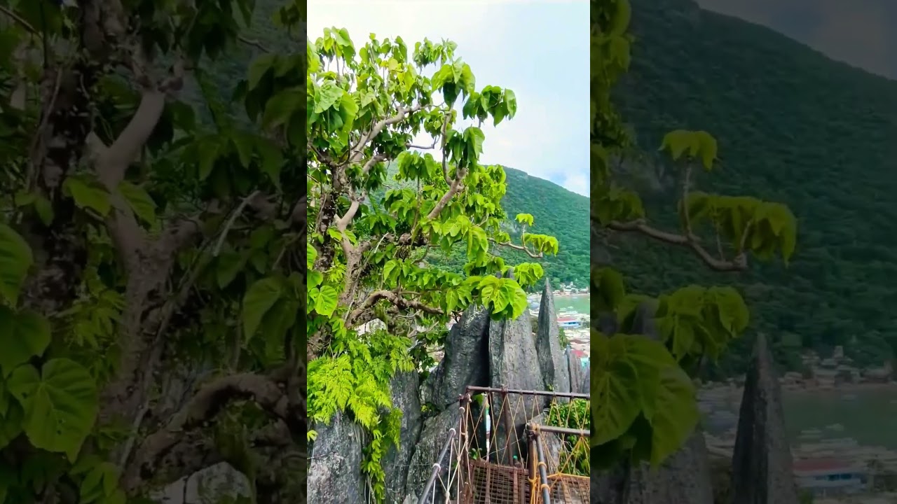 YouTube Short thumbnail