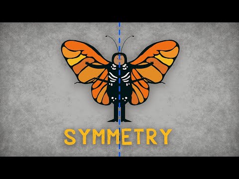Symmetry, symmetria, symmetrie, simetría, симметрия, symétrie.