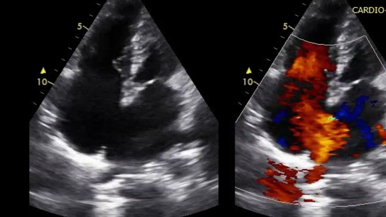 Luis  Ruvalcaba Figueroa -7