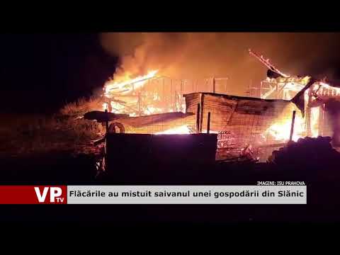 Flăcările au mistuit saivanul unei gospodării din Slănic