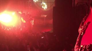 Грибы grebz Велик live