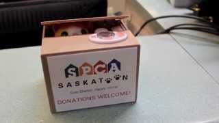 preview picture of video 'The Saskatoon SPCA Donation Cat'