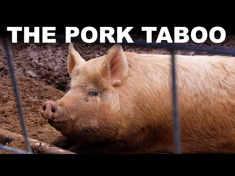 , title : 'Why billions of people won't eat pork (or why we don't know)'